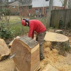 Lumberjack Tree Care