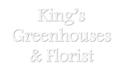 King's Greenhouses & Florist