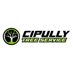 Cipully Tree Service LLC