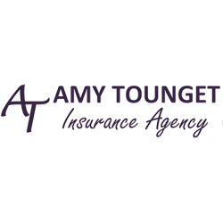 Amy Tounget Insurance Agency, LLC