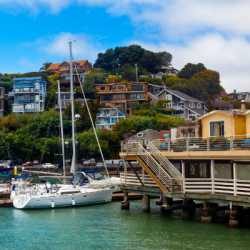San Francisco & Marin County Real Estate Broker / Jeffrey Marples