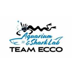 Aquarium & Shark Lab by Team ECCO