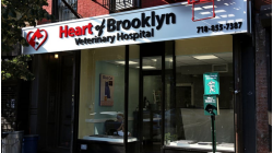 Heart of Brooklyn Veterinary Hospital - Flatbush