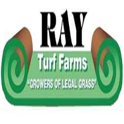 Ray Turf Farms
