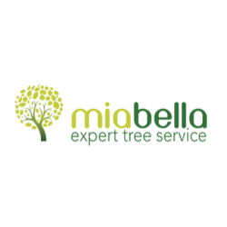 Miabella Experts Tree Service inc