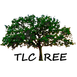 TLC Tree Service, LLC