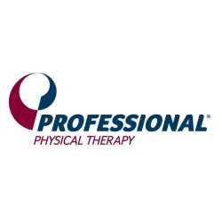 Professional Physical and Hand Therapy