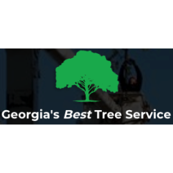 Georgia's Best Tree Service & Tree Removal