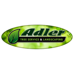 Adler Tree Service & Landscaping