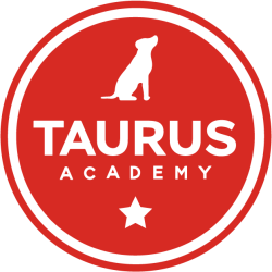 Taurus Academy Burnet