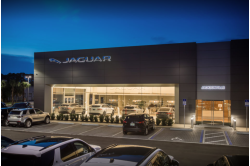 Jaguar Jacksonville