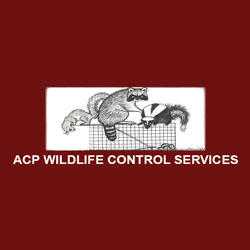 ACP Wildlife Control Services