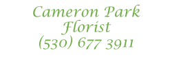The Cameron Park Florist