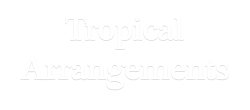 Tropical Arrangements