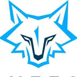 BlueFox Cleaning Co