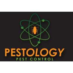 Pestology Pest Control