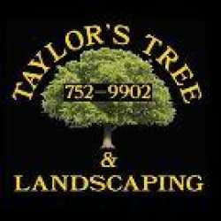 Taylor's Tree & Landscaping