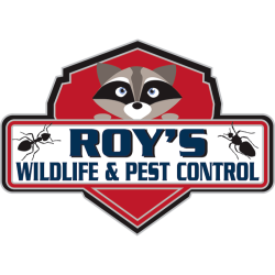 Roy's Wildlife And Pest Control