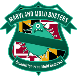 Maryland Mold Busters