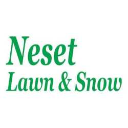 Neset Lawn, Snow and Stump Grinding Services