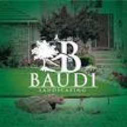 Baudi Landscaping Inc
