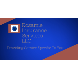 Constant V. Geeter | Rosamie lnsurance Services LLC
