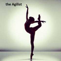 The Agilist