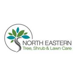 North Eastern Tree, Shrub, & Lawn Care