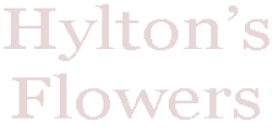Hylton's Flowers