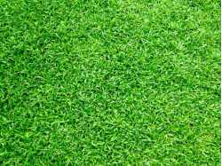Artificial Grass by Design LLC