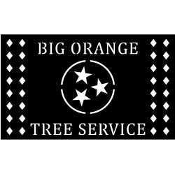 Big Orange Tree Service by Jason Stiltner