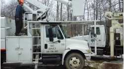 TOWN & COUNTRY TREE SERVICE