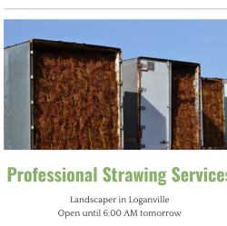 Professional Pinestraw Services