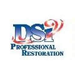 DSi Professional Restoration