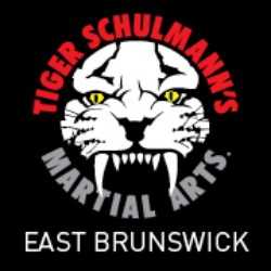 Tiger Schulmann's Martial Arts (East Brunswick, NJ)