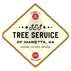 All In Tree Service of Marietta GA
