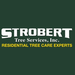 Strobert Tree Services
