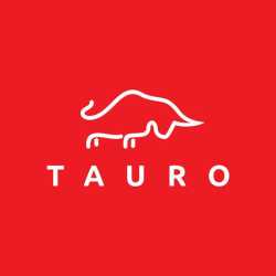 Tauro Capital Advisors, Inc.