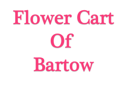 Flower Cart of Bartow