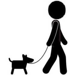 Dog Control(Training)