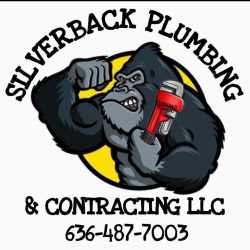 Silverback Plumbing & Contracting LLC