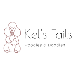 Kel's Tails - Poodles, Labradoodles & Goldendoodles