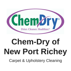 Chem-Dry Of New Port Richey