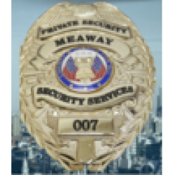 Meaway Security Services