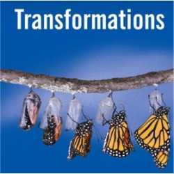 Transformations Accountable Life Coaching
