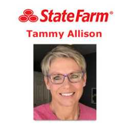 Tammy Allison - State Farm Insurance Agent
