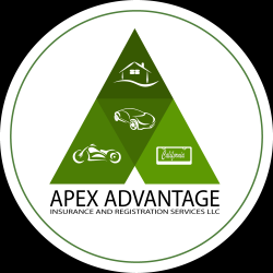 APEX ADVANTAGE INSURANCE AND REGISTRATION SERVICES LLC