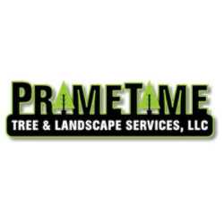Primetime Tree and Landscape Services, LLC
