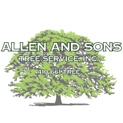 Allen & Sons Tree Service Inc