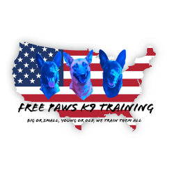 Free Paws K9 Training